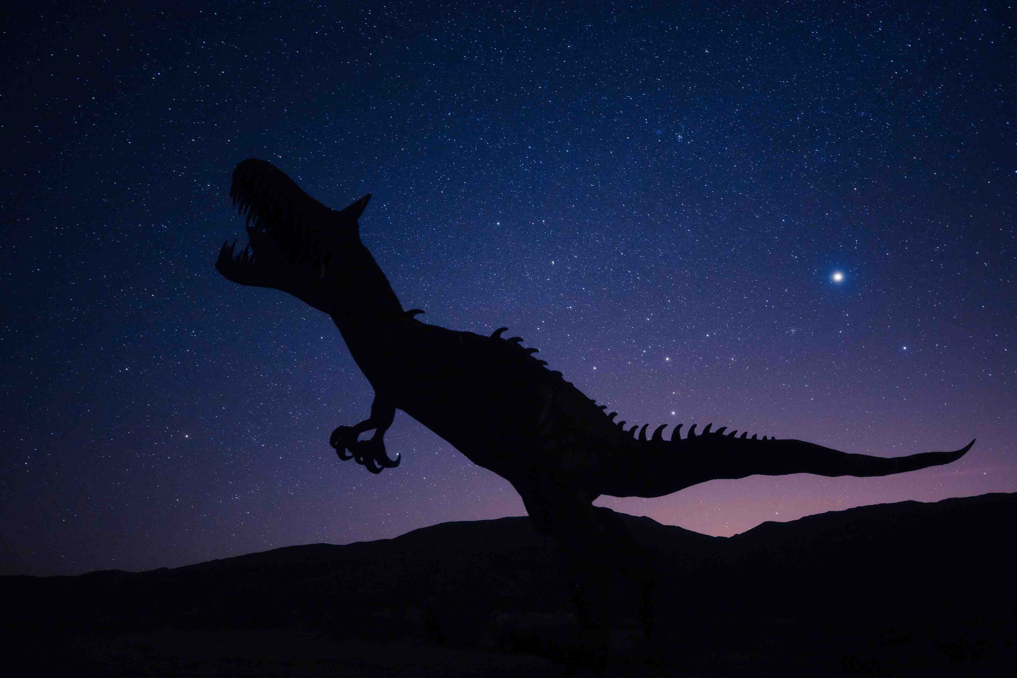 Picture of Tyrannosaurus Rex silhouette in the night sky.